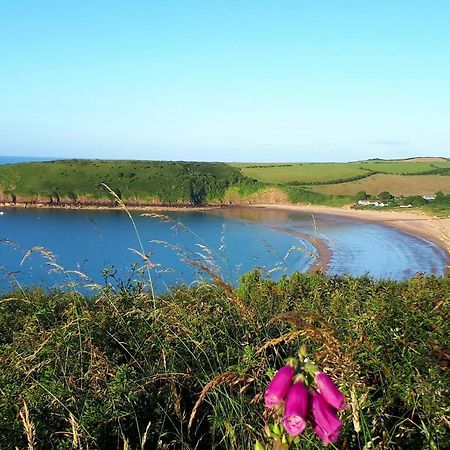 A Beach Holiday In Pembrokeshire Buitenkant foto