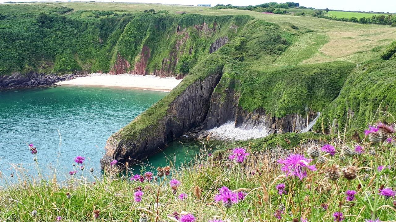 A Beach Holiday In Pembrokeshire Buitenkant foto